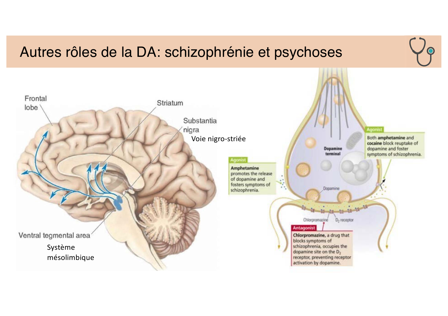 Jabaudon Cours 2 page 22