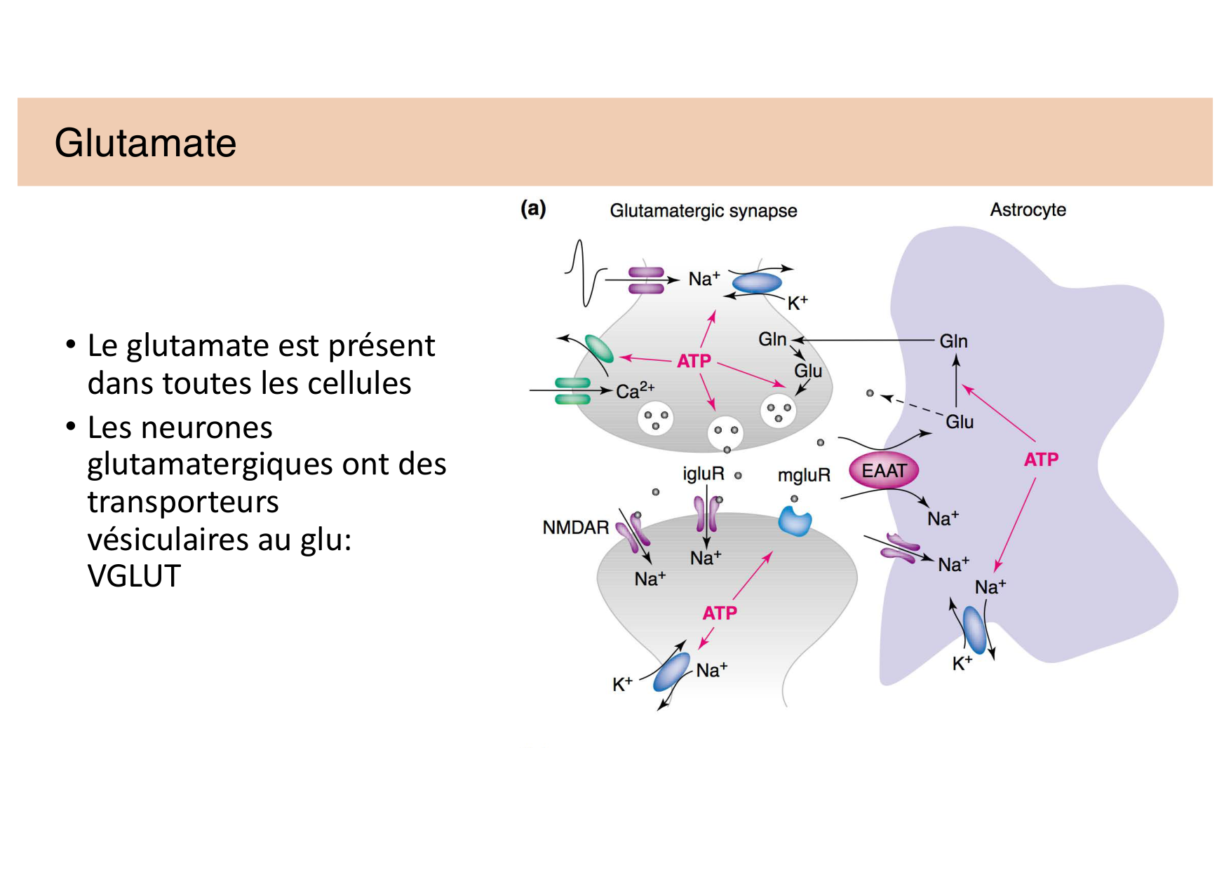 Jabaudon Cours 2 page 26