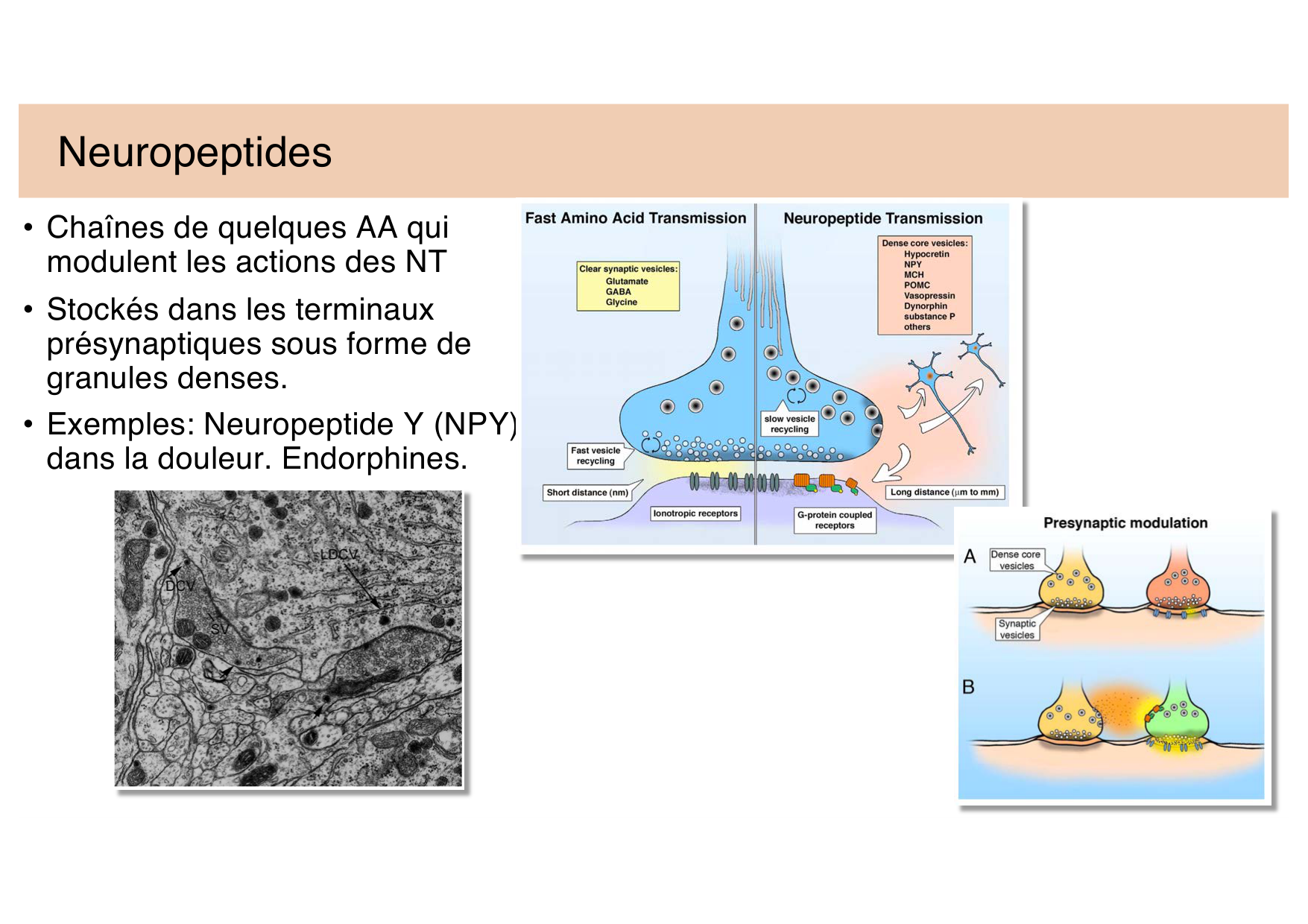 Jabaudon Cours 2 page 28