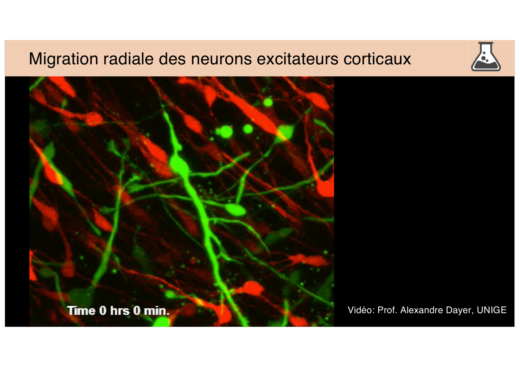 Jabaudon Cours 3 page 8