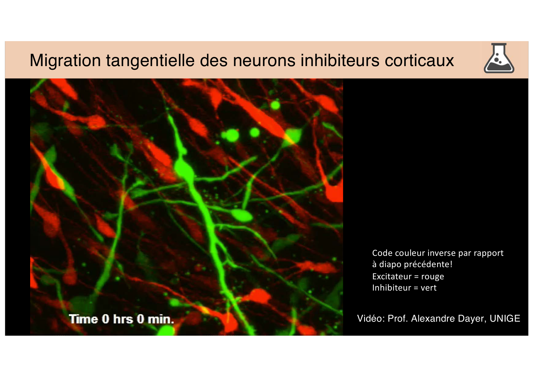 Jabaudon Cours 3 page 13