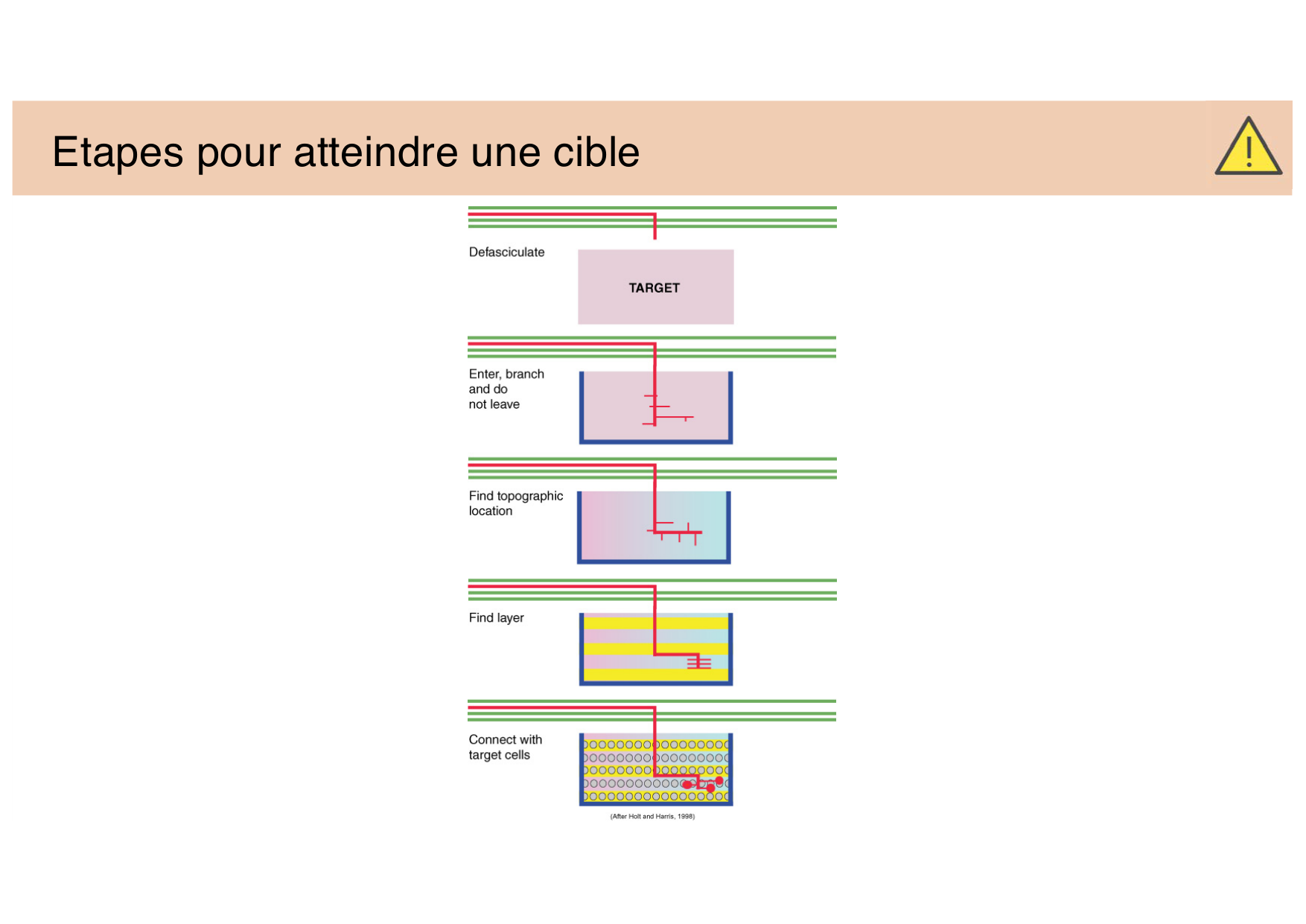 Jabaudon Cours 3 page 15