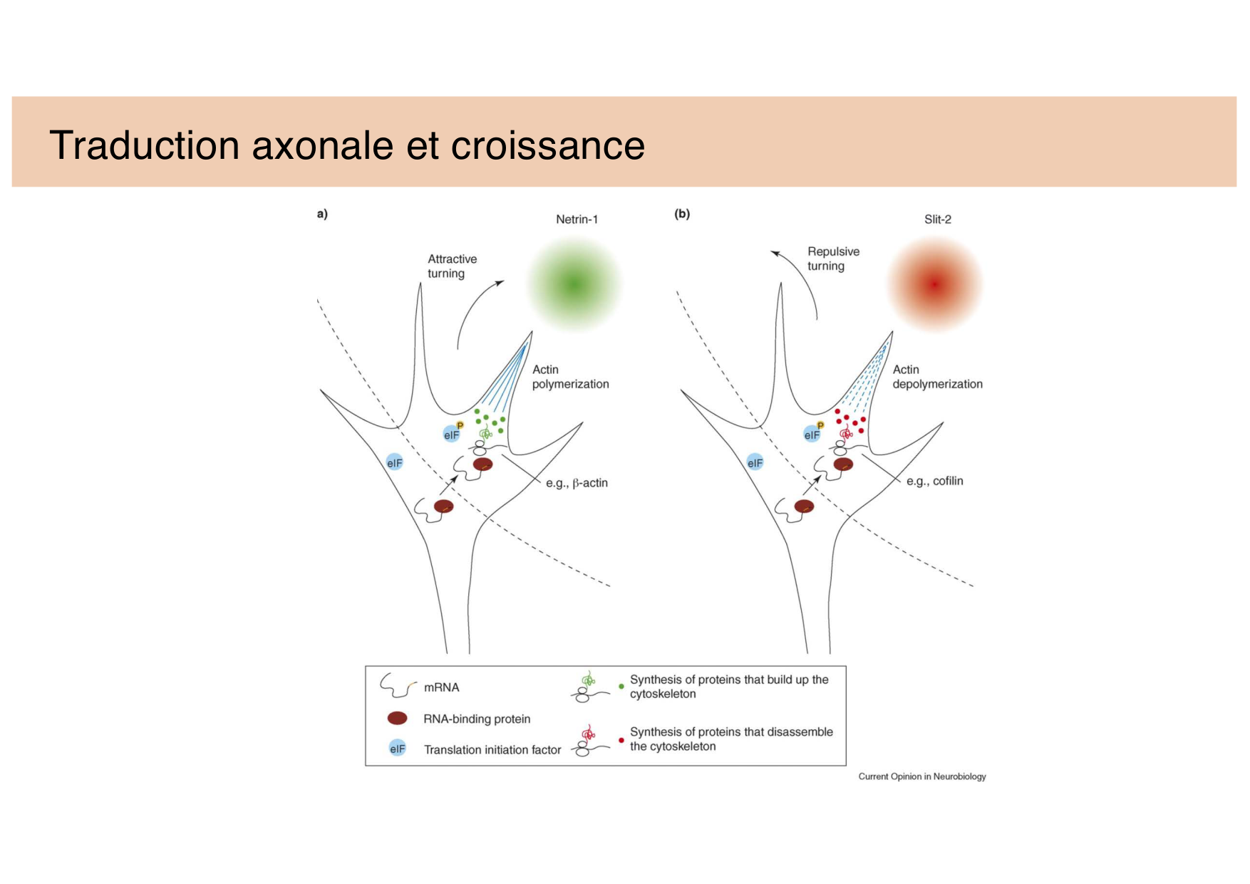 Jabaudon Cours 3 page 20