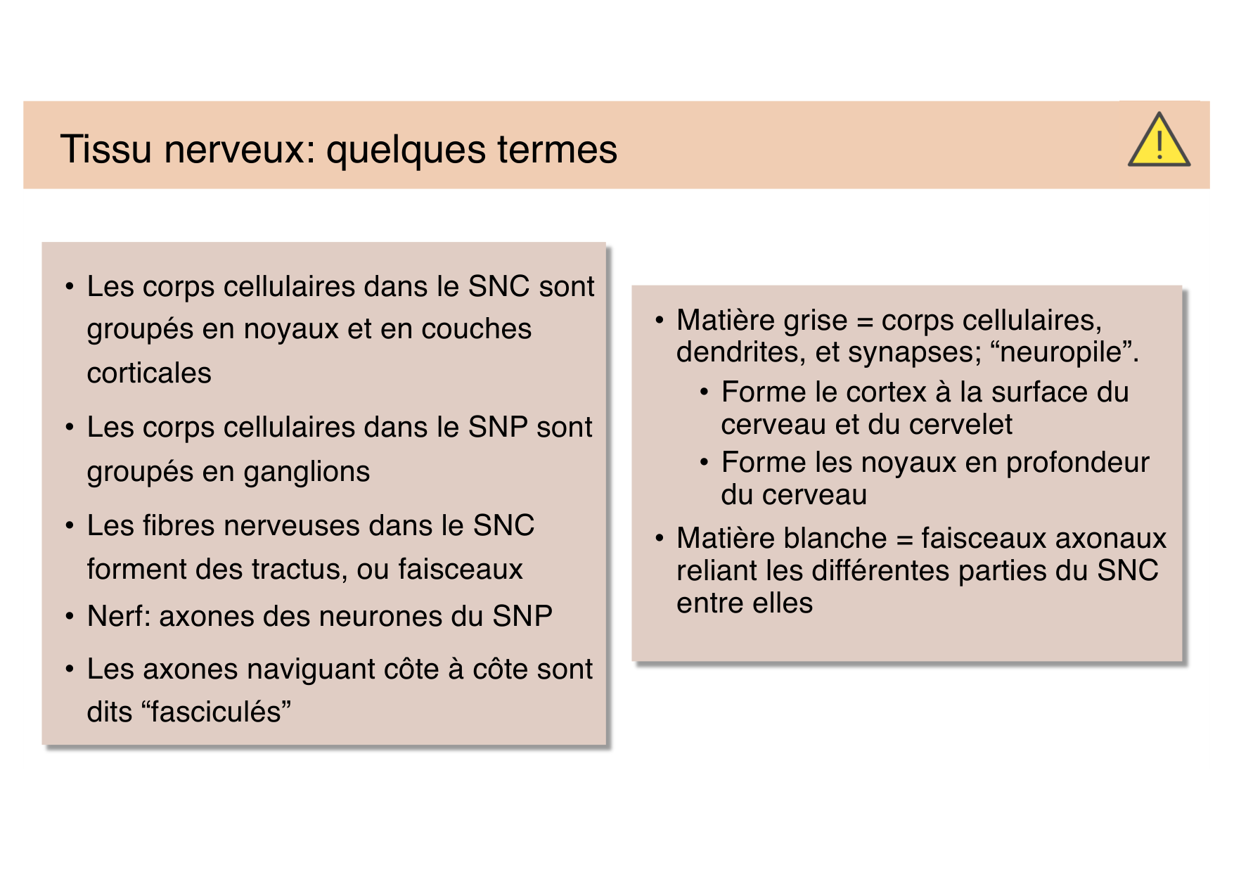 Jabaudon Cours Moteur Sensitif page 5