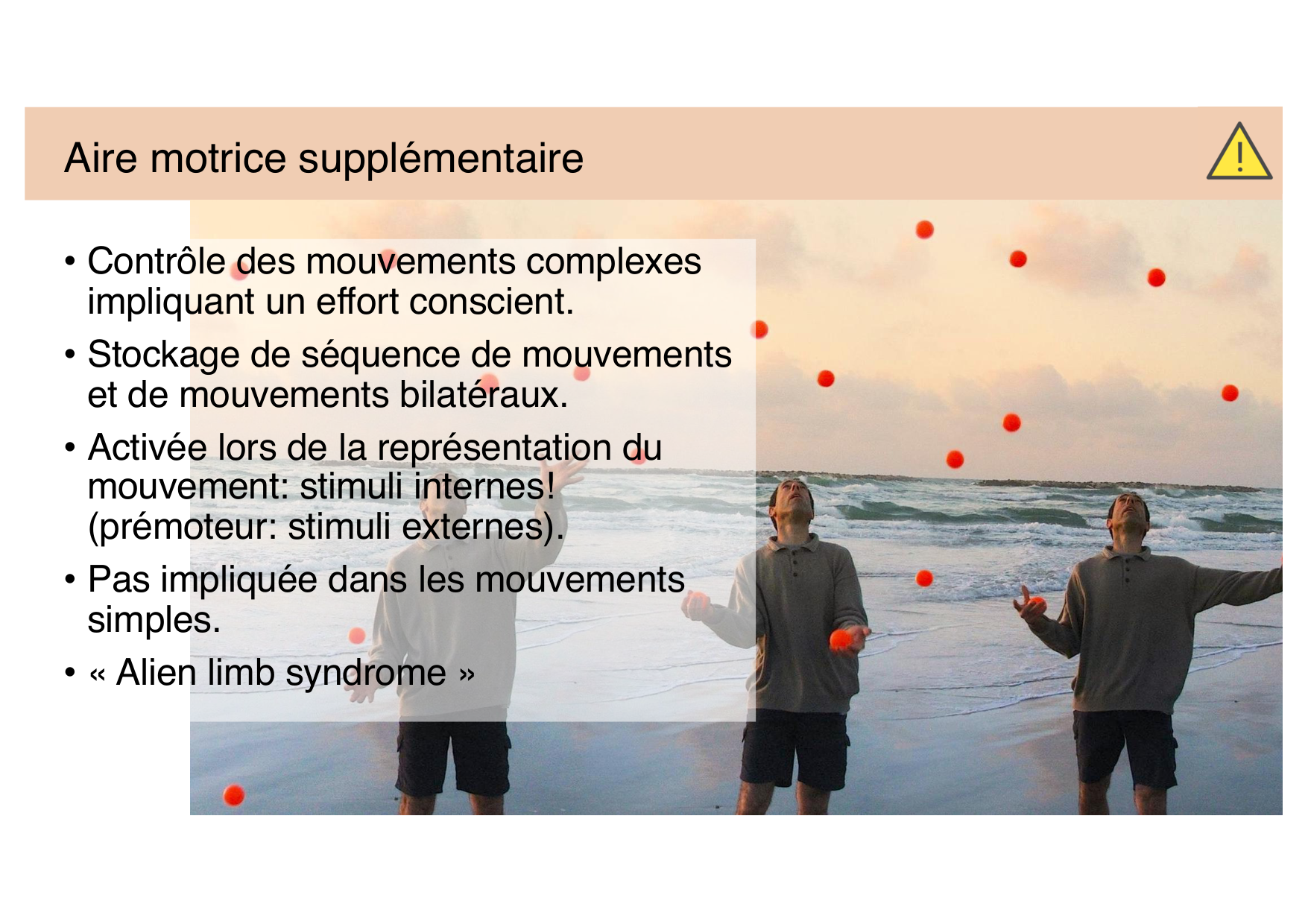 Jabaudon Cours Moteur Sensitif page 22