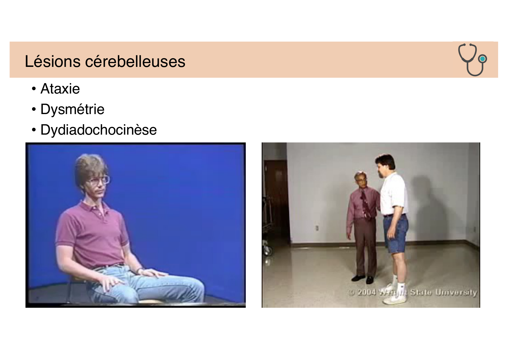 Jabaudon Cours Moteur Sensitif page 27