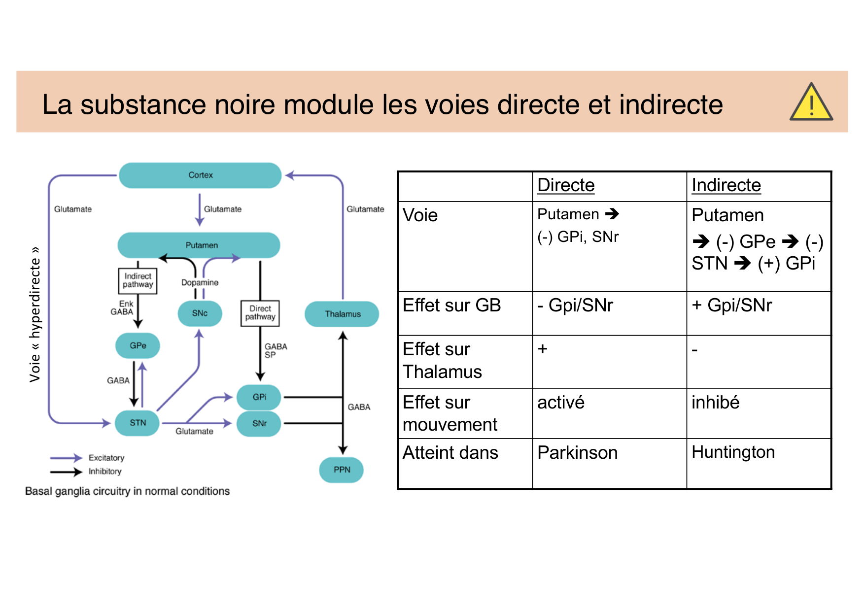 Jabaudon Cours Moteur Sensitif page 31