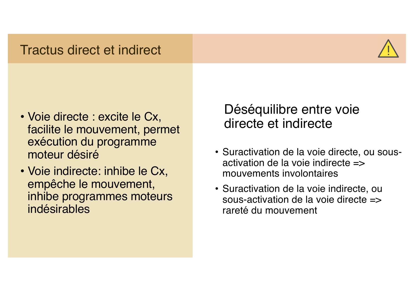 Jabaudon Cours Moteur Sensitif page 32