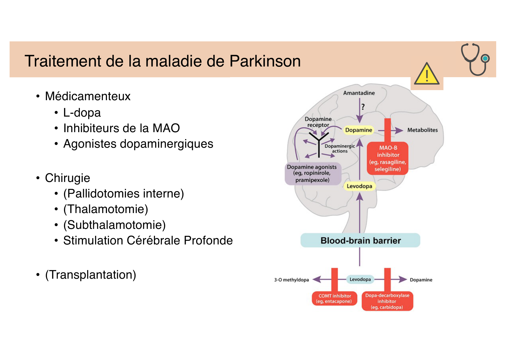 Jabaudon Cours Moteur Sensitif page 37