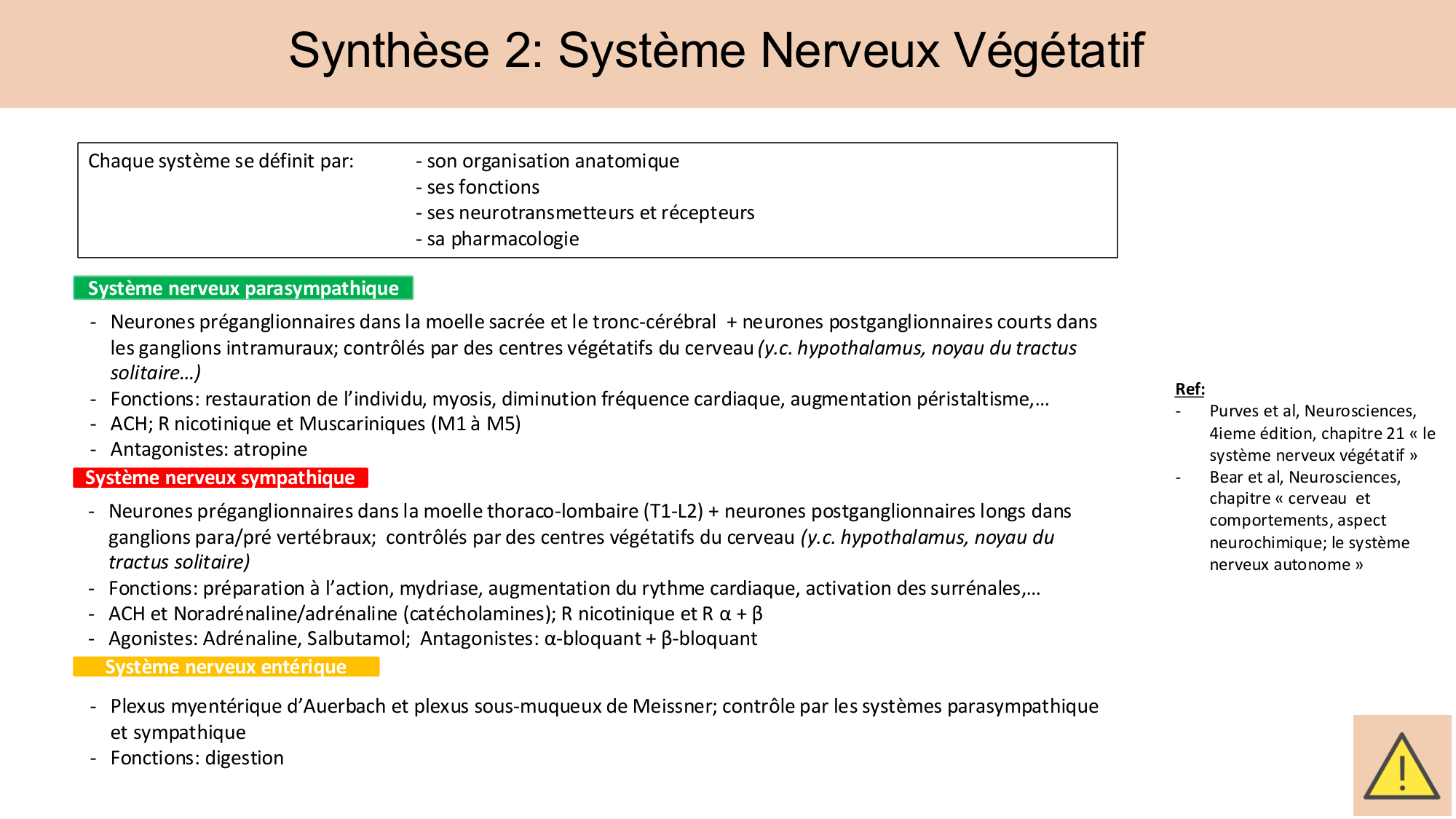 Cours Systeme Nerveux Autonome-Quairiaux-2025 page 34
