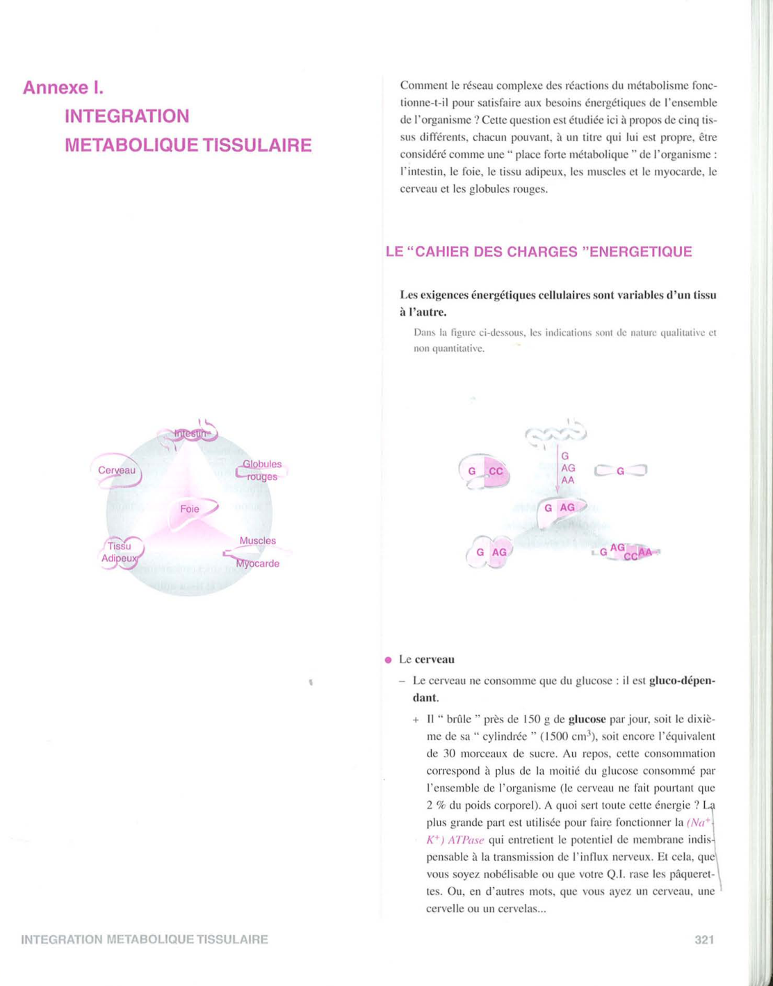 Moussard 3ed 177-178 321-325 page 3