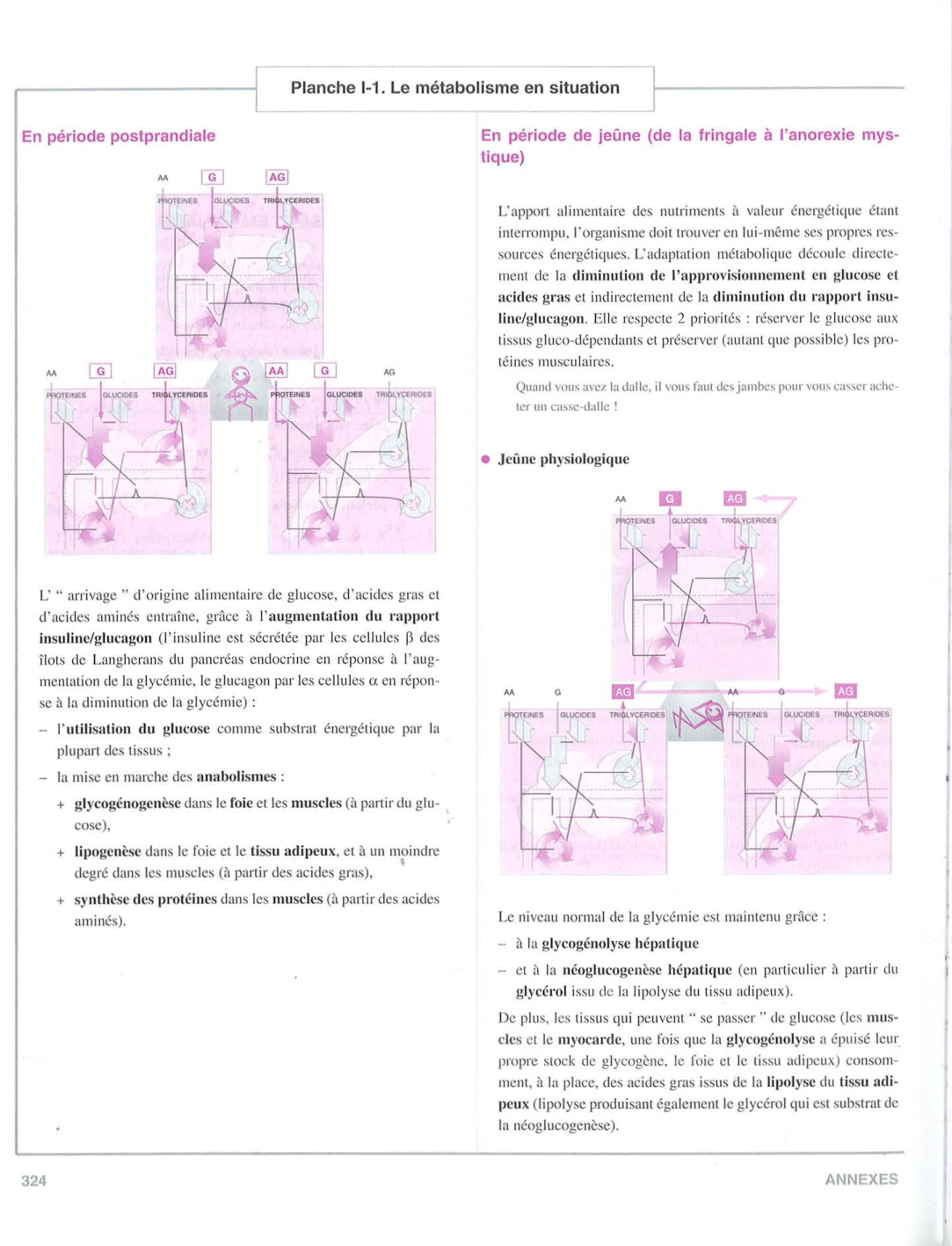 Moussard 3ed 177-178 321-325 page 6