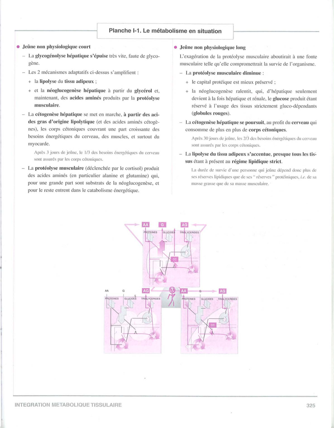 Moussard 3ed 177-178 321-325 page 7