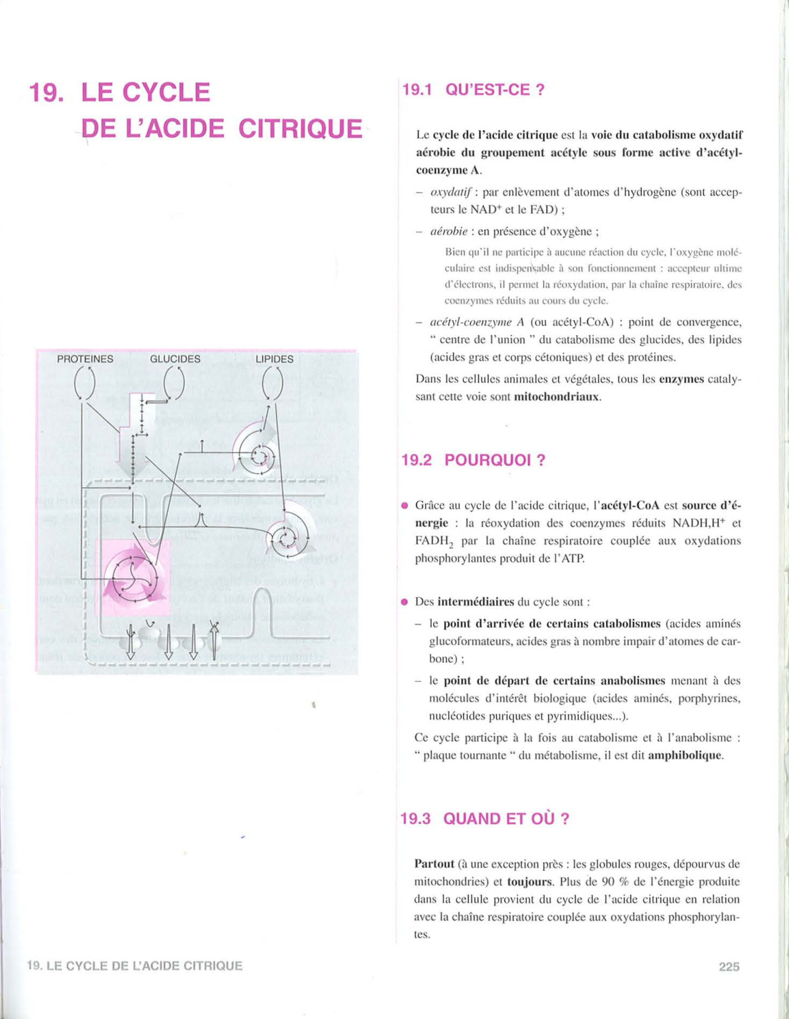 Moussard 3ed 225-235 237-242 page 1