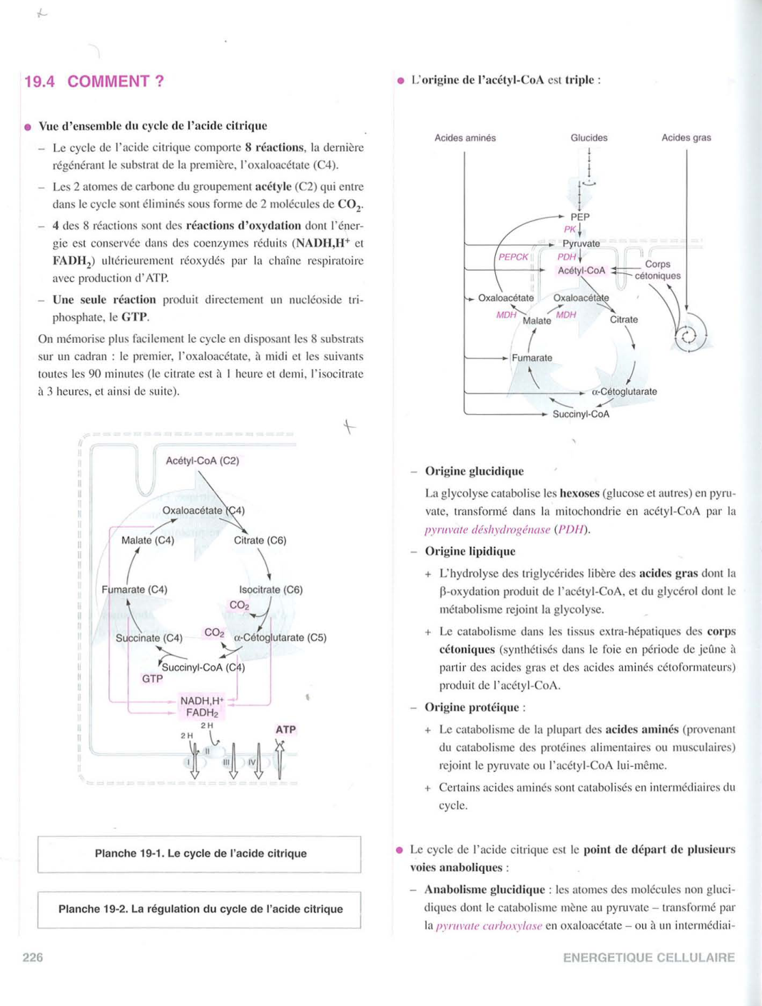 Moussard 3ed 225-235 237-242 page 2