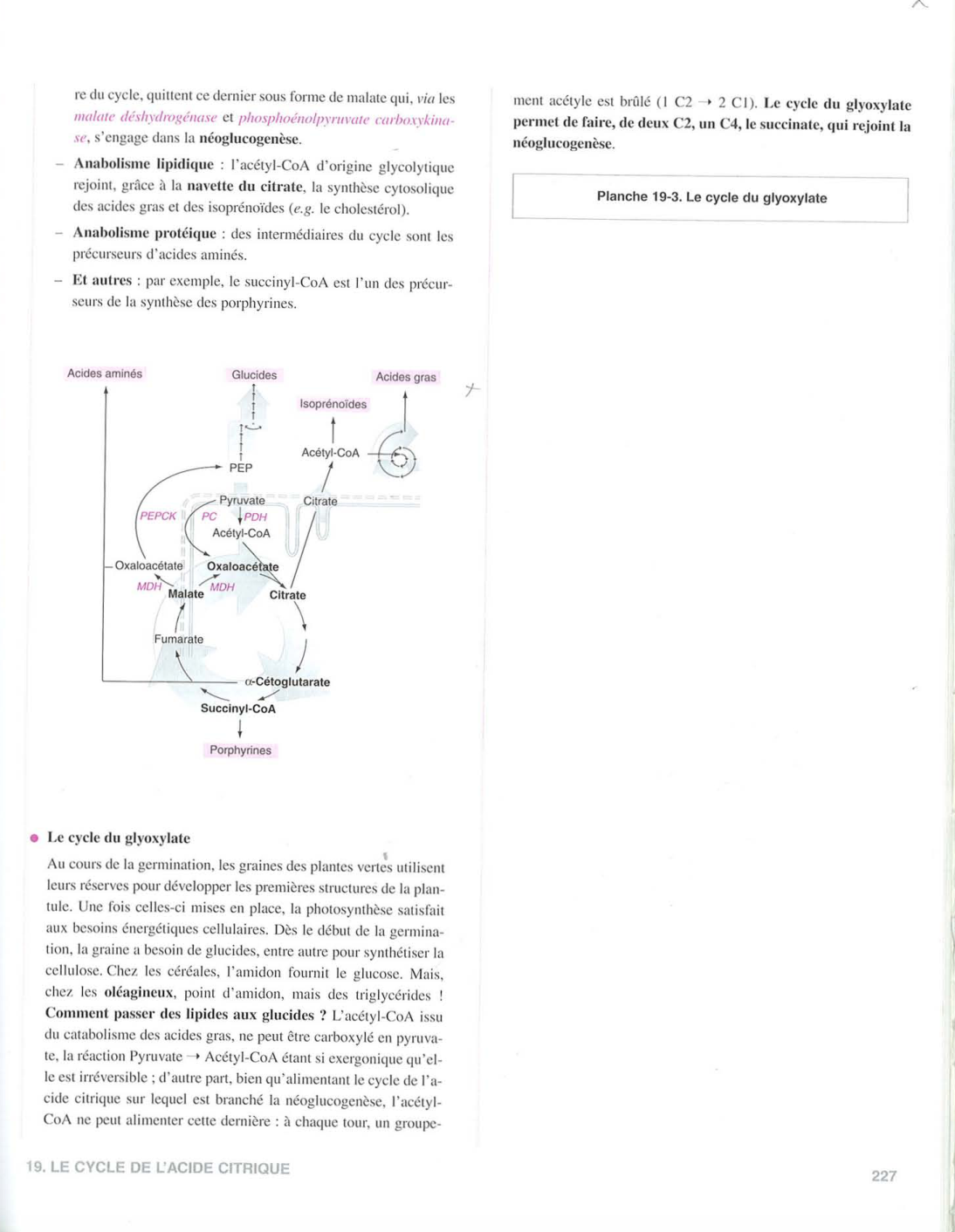 Moussard 3ed 225-235 237-242 page 3