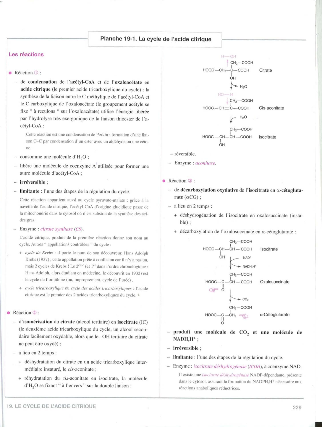 Moussard 3ed 225-235 237-242 page 5