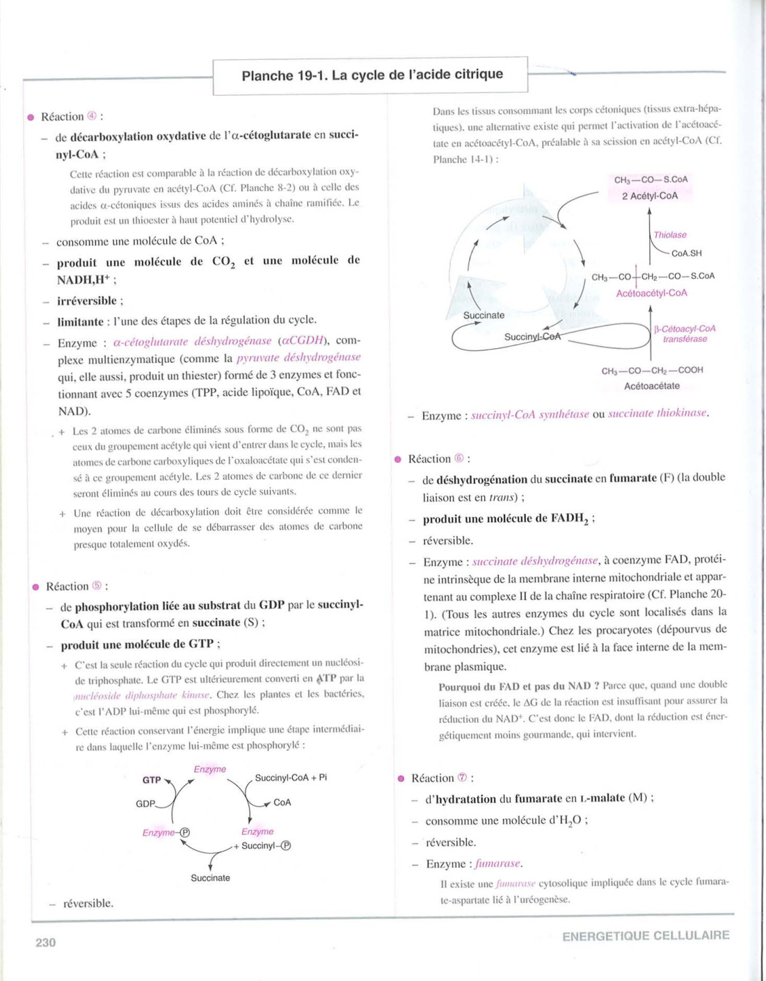 Moussard 3ed 225-235 237-242 page 6