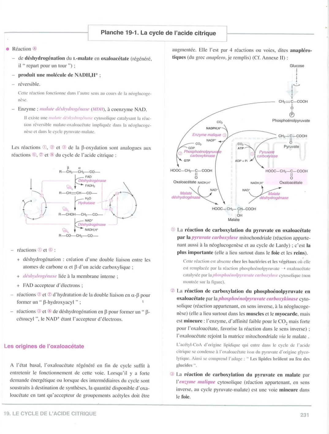 Moussard 3ed 225-235 237-242 page 7