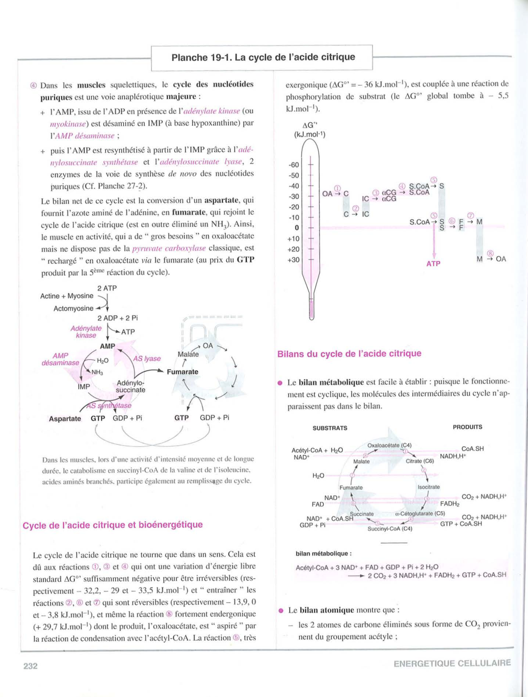 Moussard 3ed 225-235 237-242 page 8