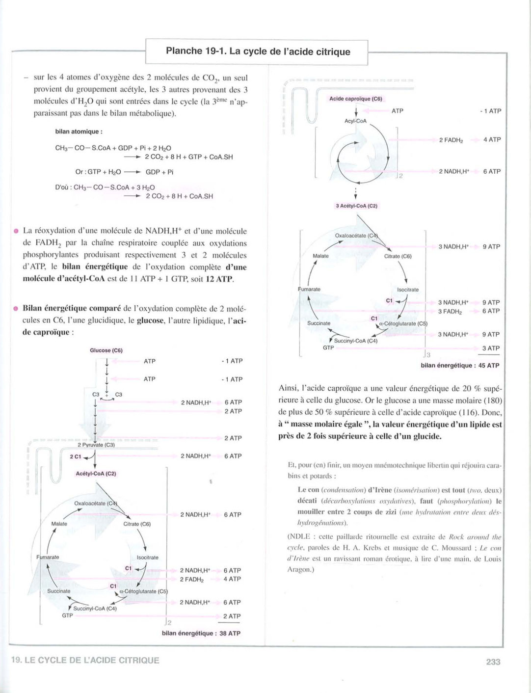 Moussard 3ed 225-235 237-242 page 9