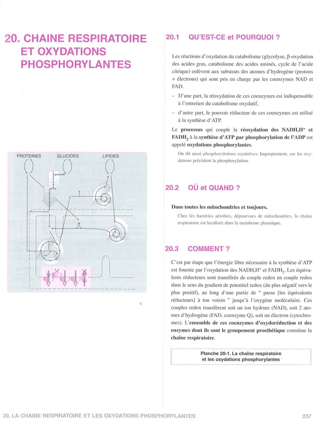Moussard 3ed 225-235 237-242 page 12