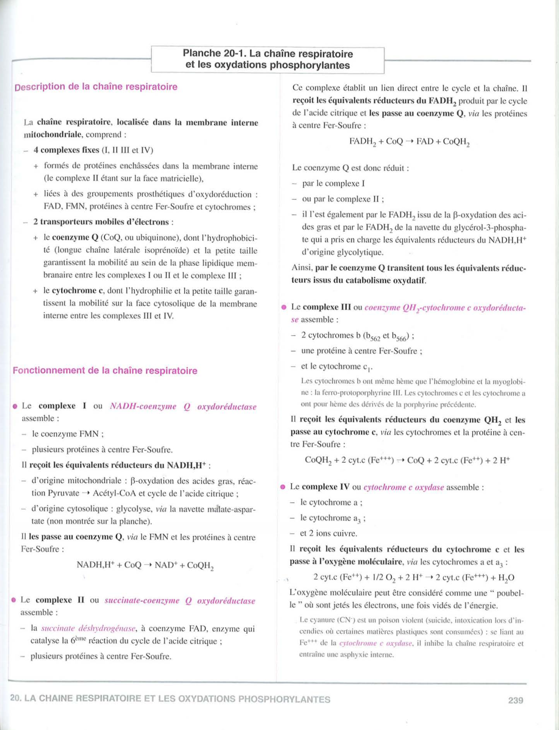 Moussard 3ed 225-235 237-242 page 14