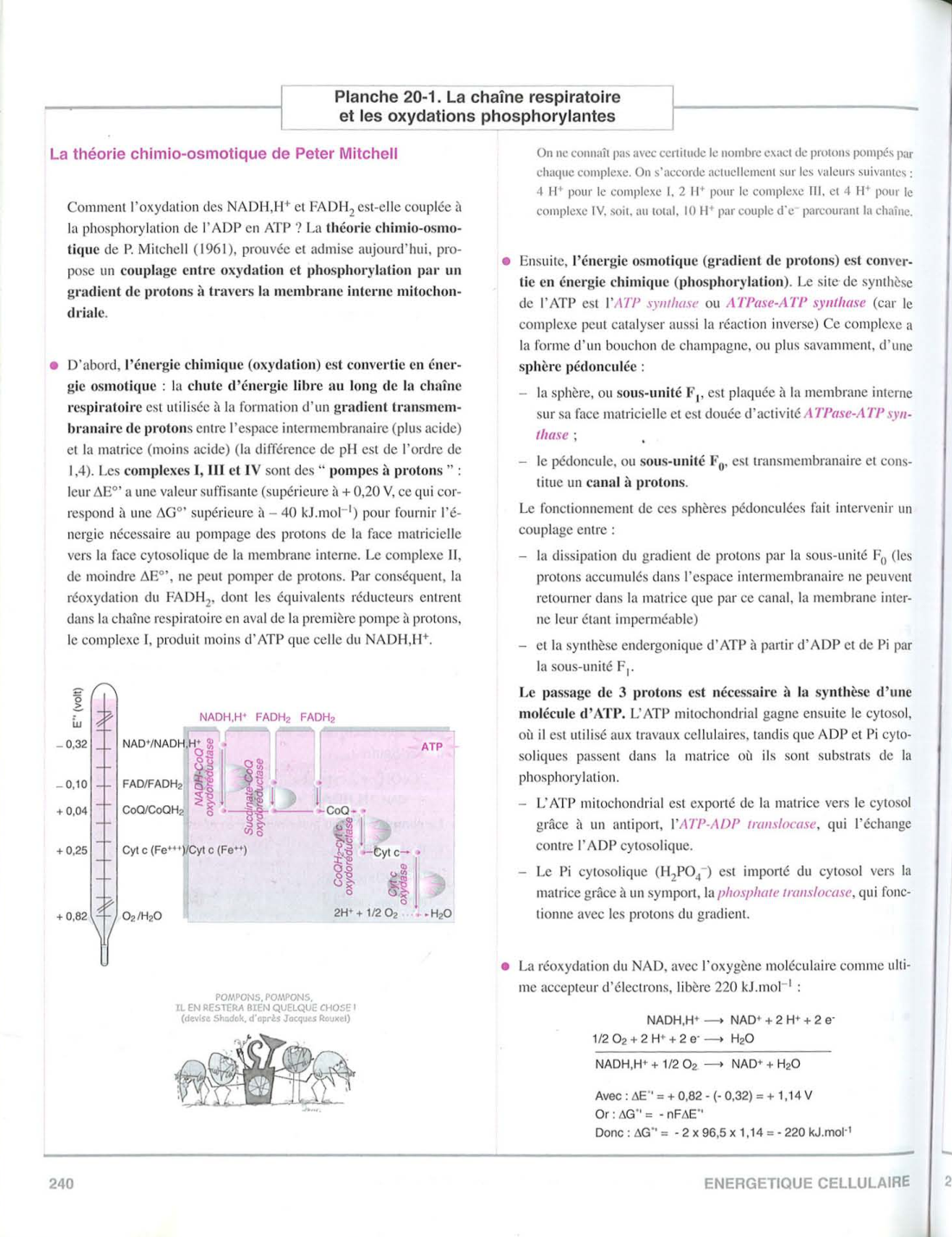 Moussard 3ed 225-235 237-242 page 15