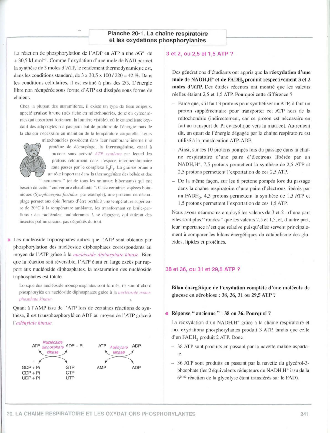 Moussard 3ed 225-235 237-242 page 16