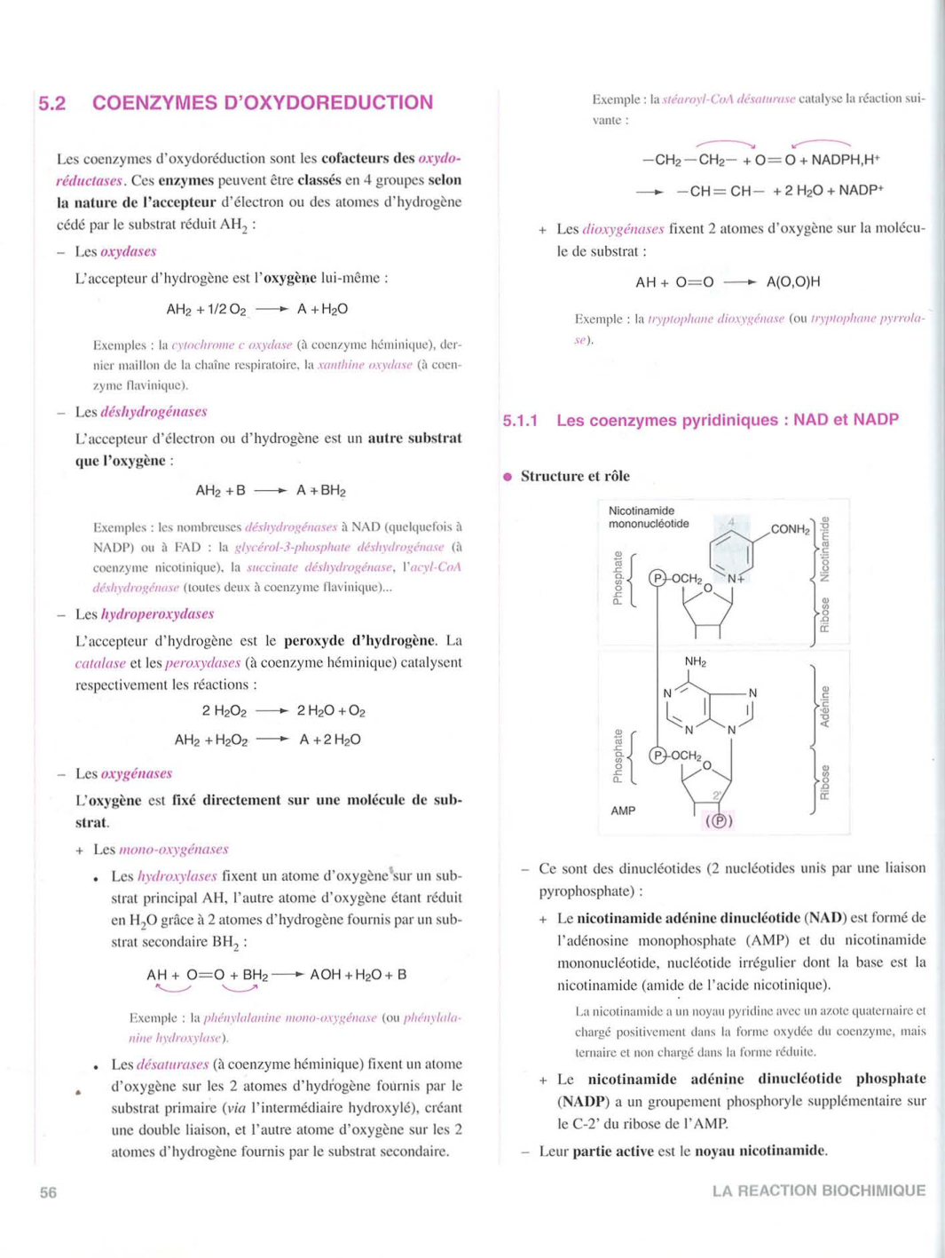 Moussard 3ed 51-58 64 page 5