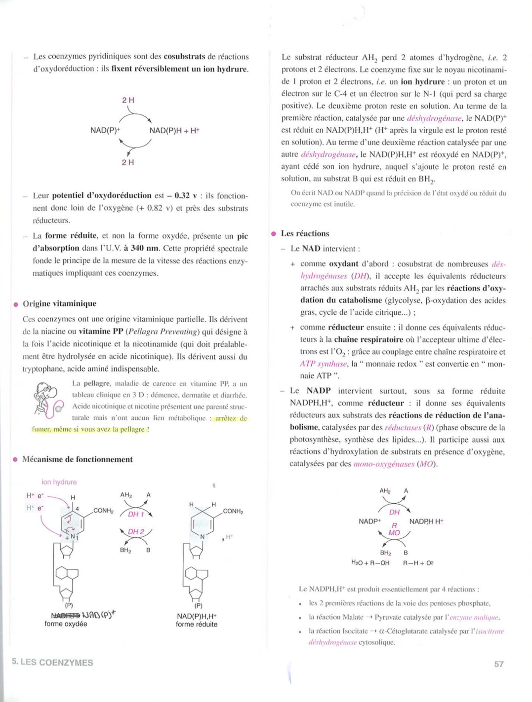 Moussard 3ed 51-58 64 page 6