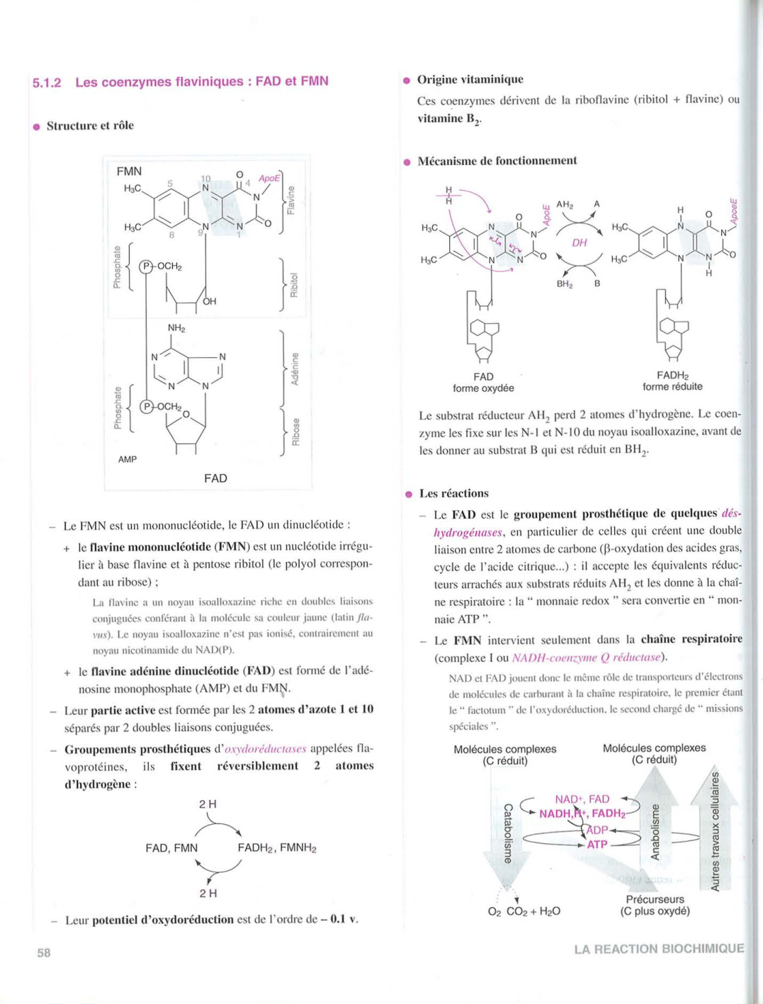 Moussard 3ed 51-58 64 page 7