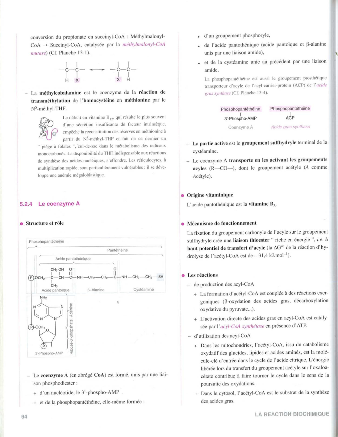 Moussard 3ed 51-58 64 page 8