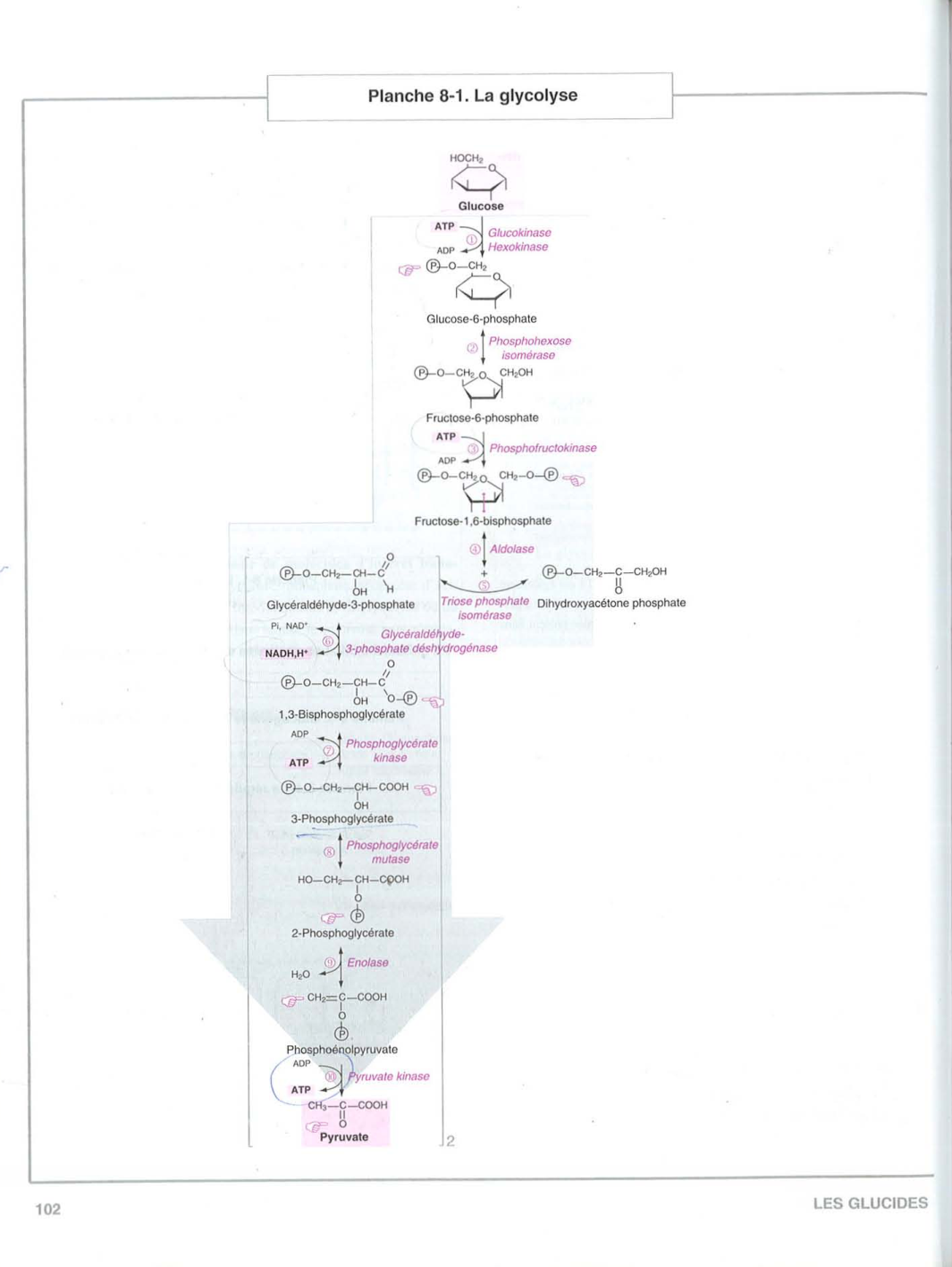 Moussard 3ed 99-106 109-110 page 4