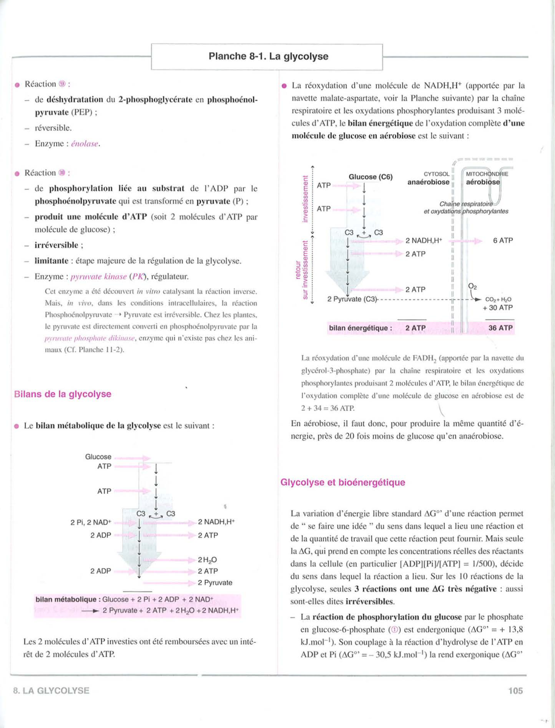 Moussard 3ed 99-106 109-110 page 7