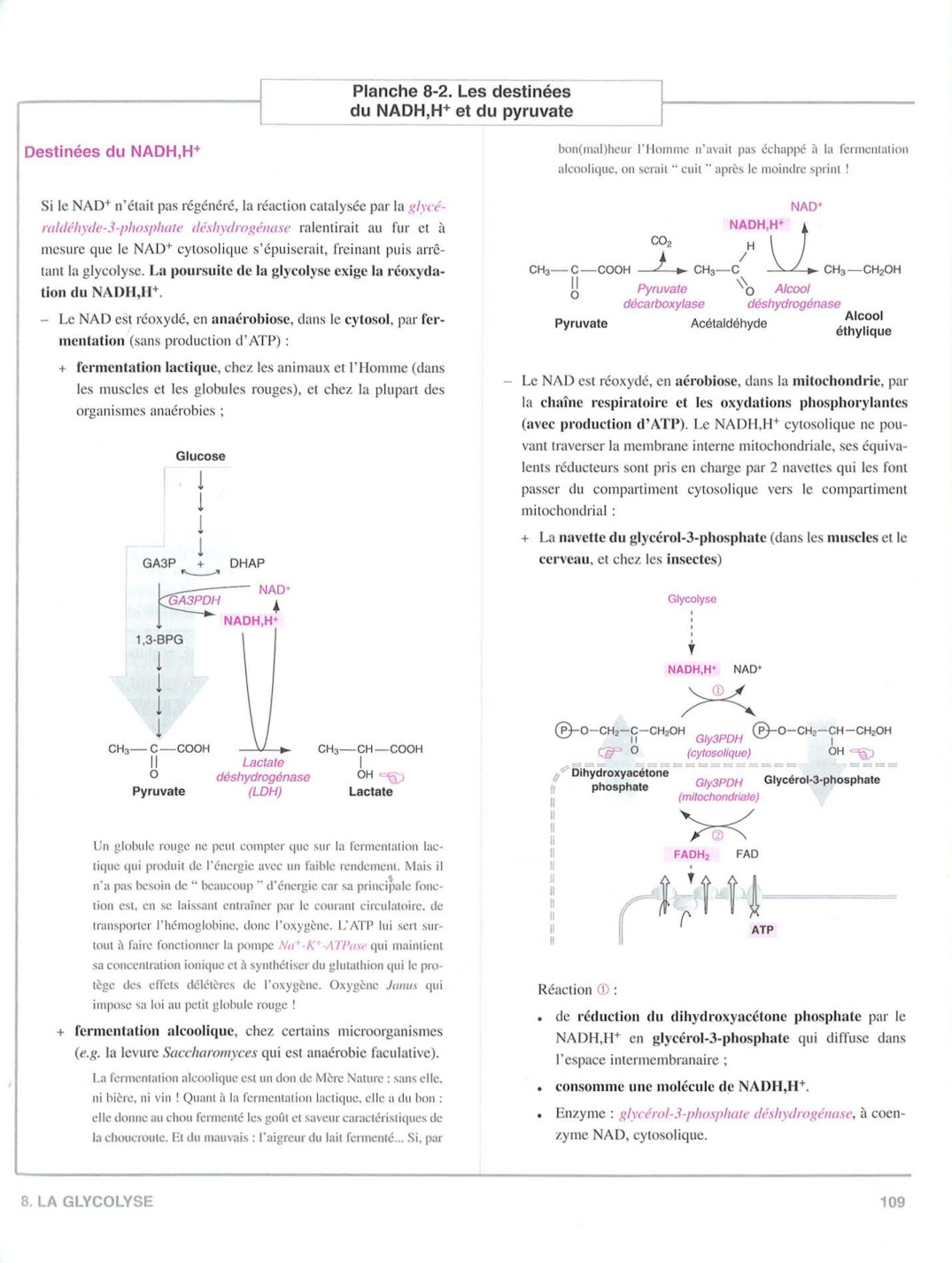 Moussard 3ed 99-106 109-110 page 9