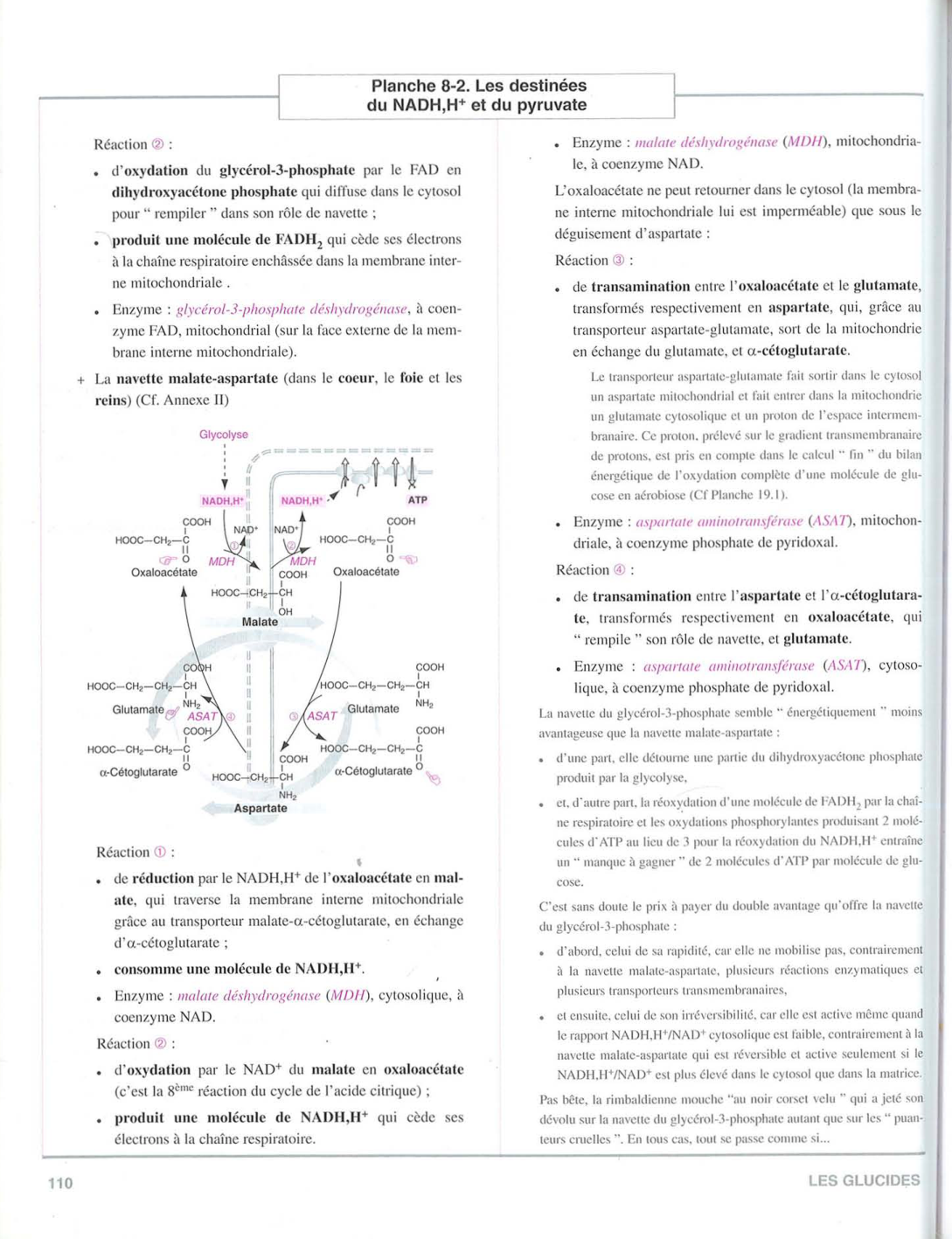 Moussard 3ed 99-106 109-110 page 10