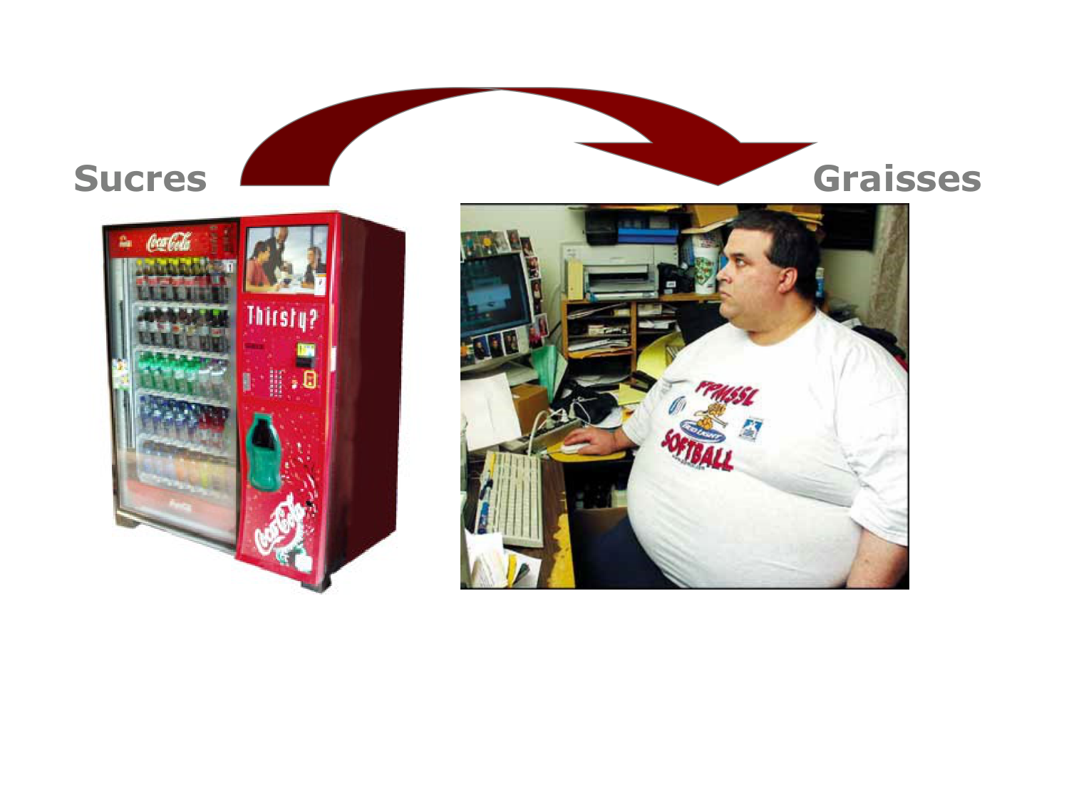 Introduction à la biochimie et au métabolisme page 5