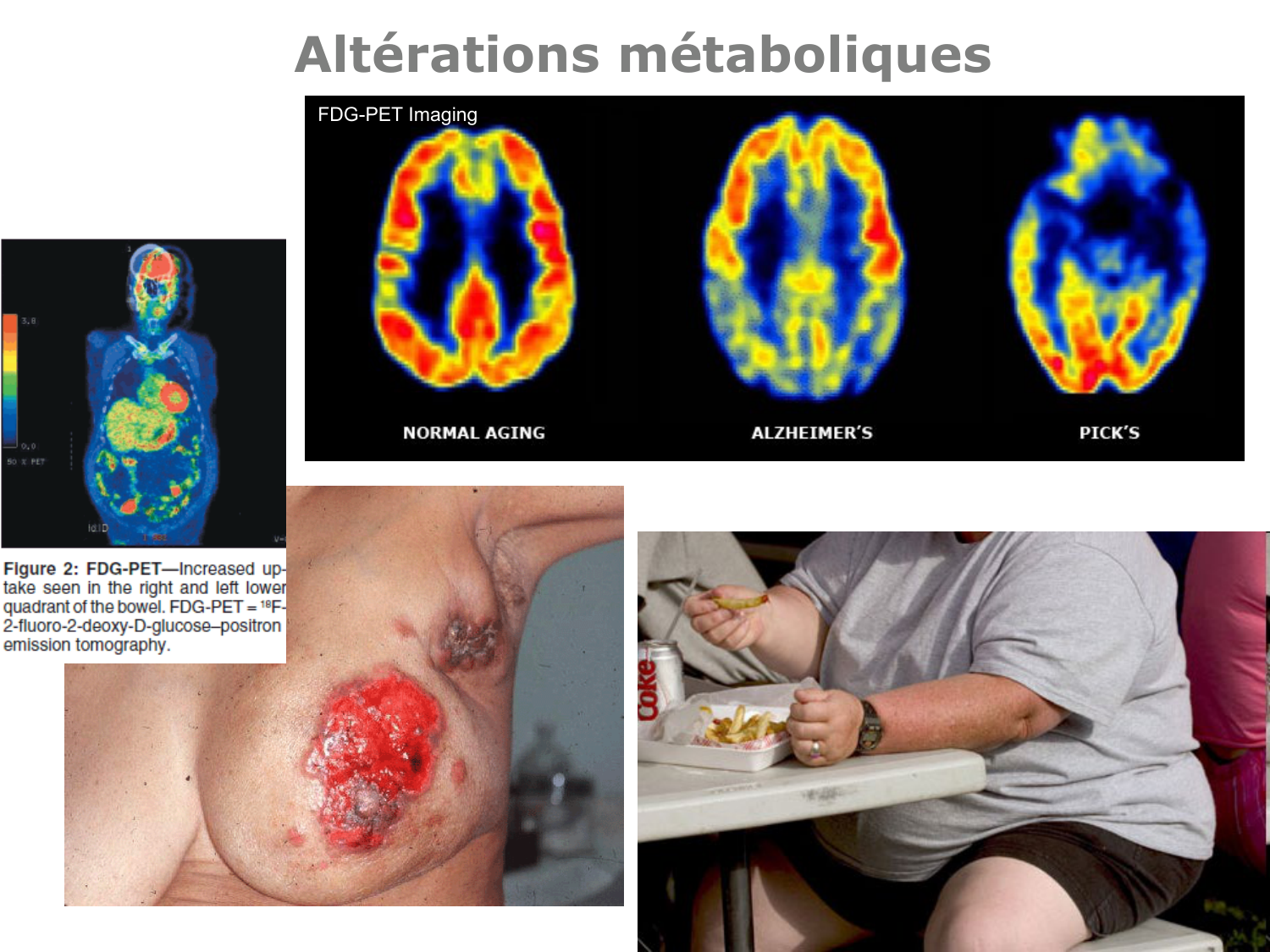Introduction à la biochimie et au métabolisme page 8