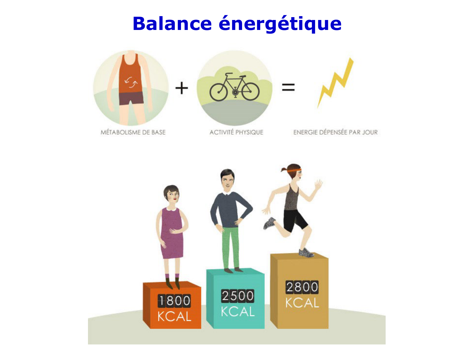 Introduction à la biochimie et au métabolisme page 10