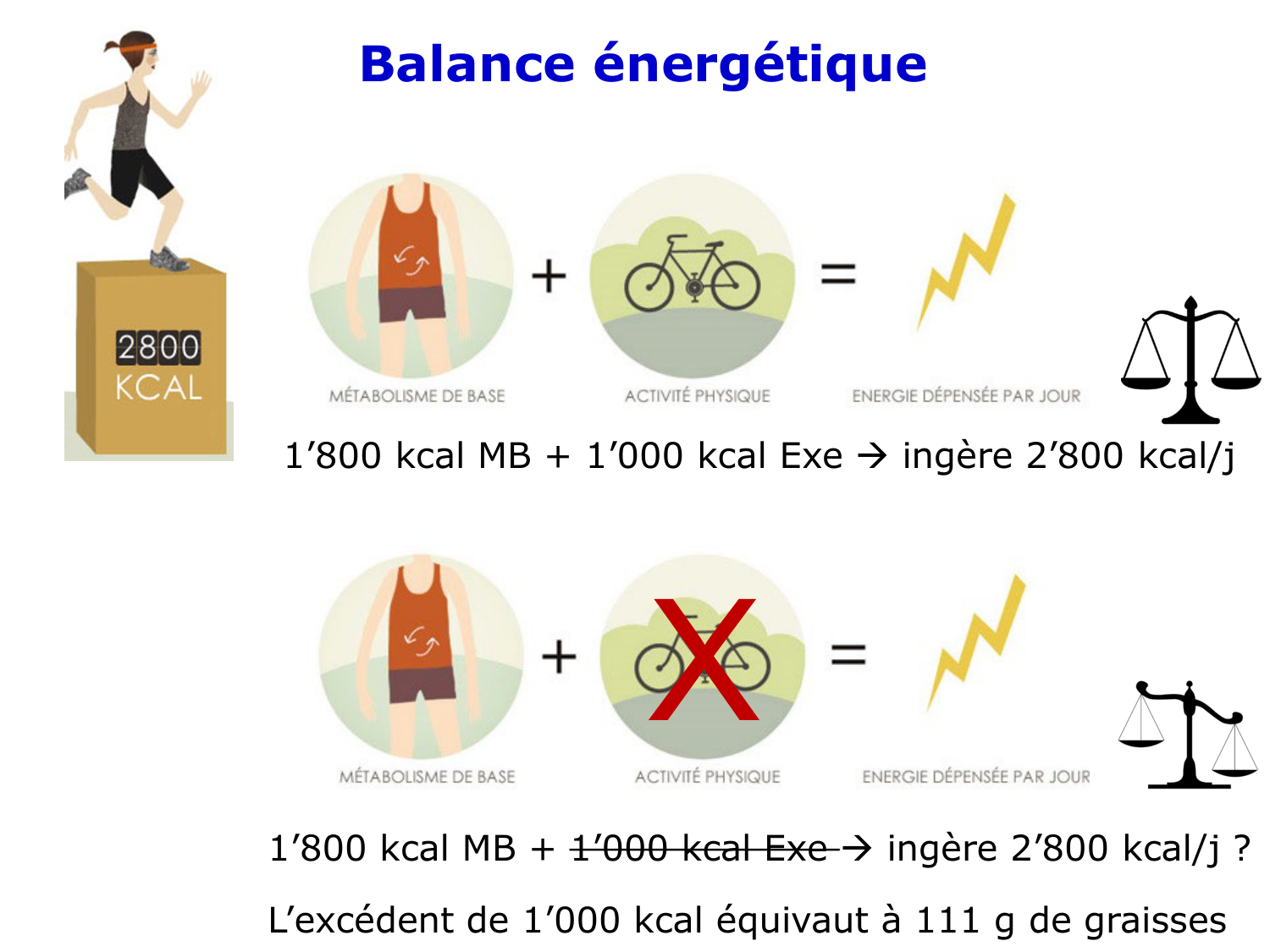 Introduction à la biochimie et au métabolisme page 12