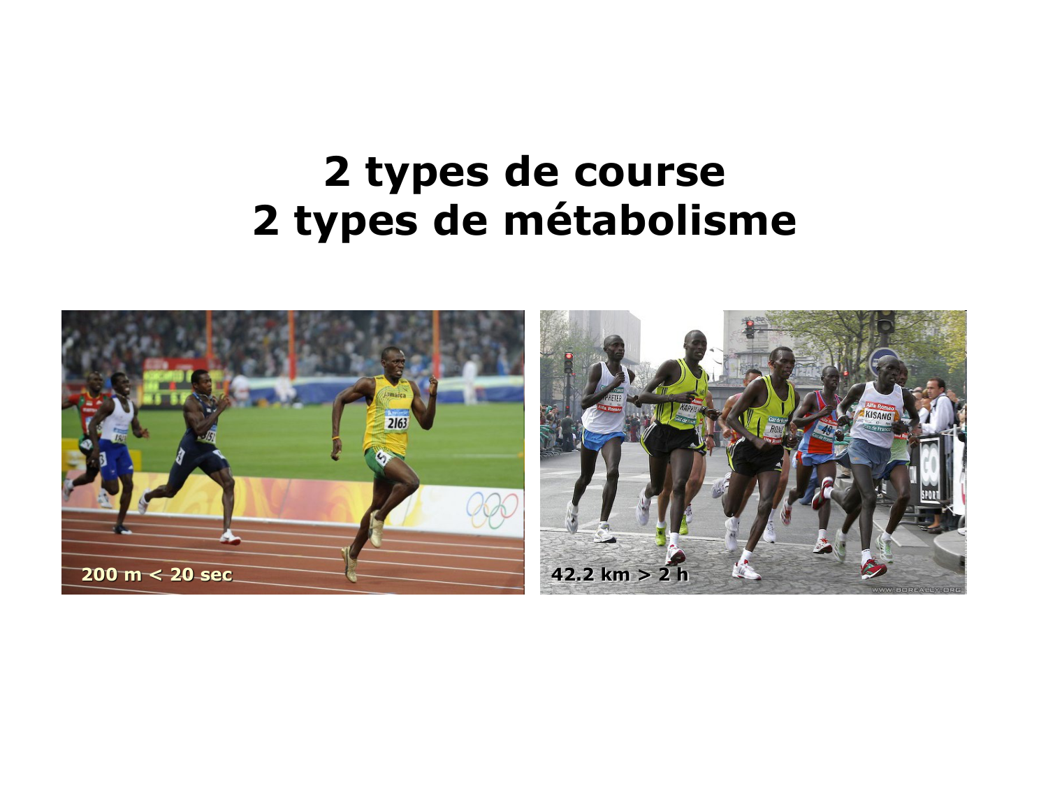 Introduction à la biochimie et au métabolisme page 14