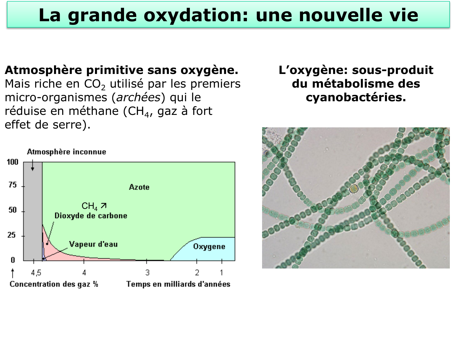 Introduction à la biochimie et au métabolisme page 20