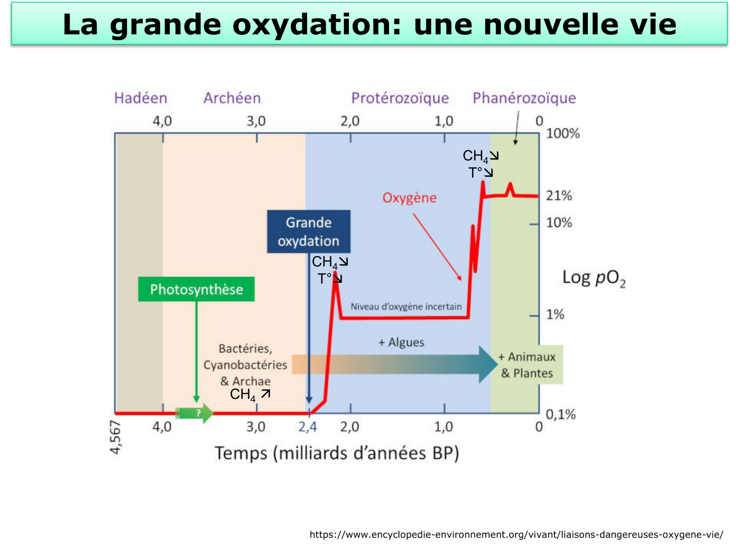 Introduction à la biochimie et au métabolisme page 21