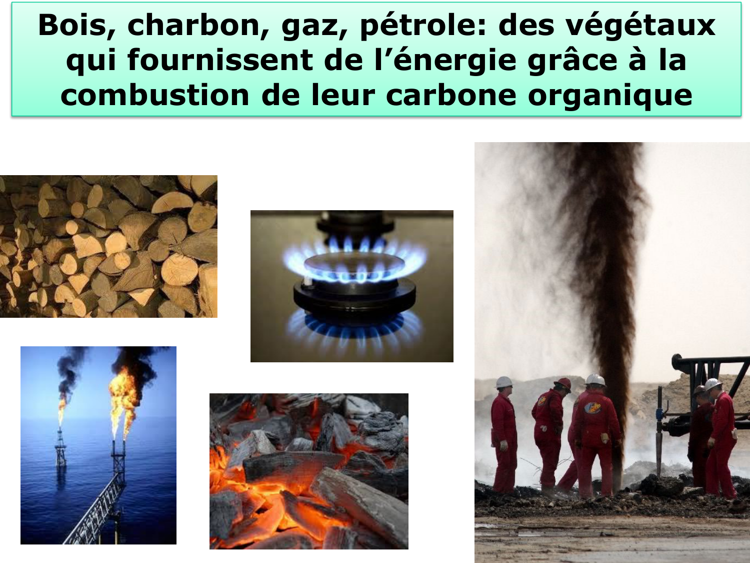 Introduction à la biochimie et au métabolisme page 23