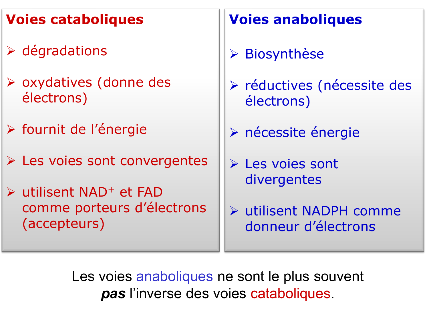 Introduction à la biochimie et au métabolisme page 32