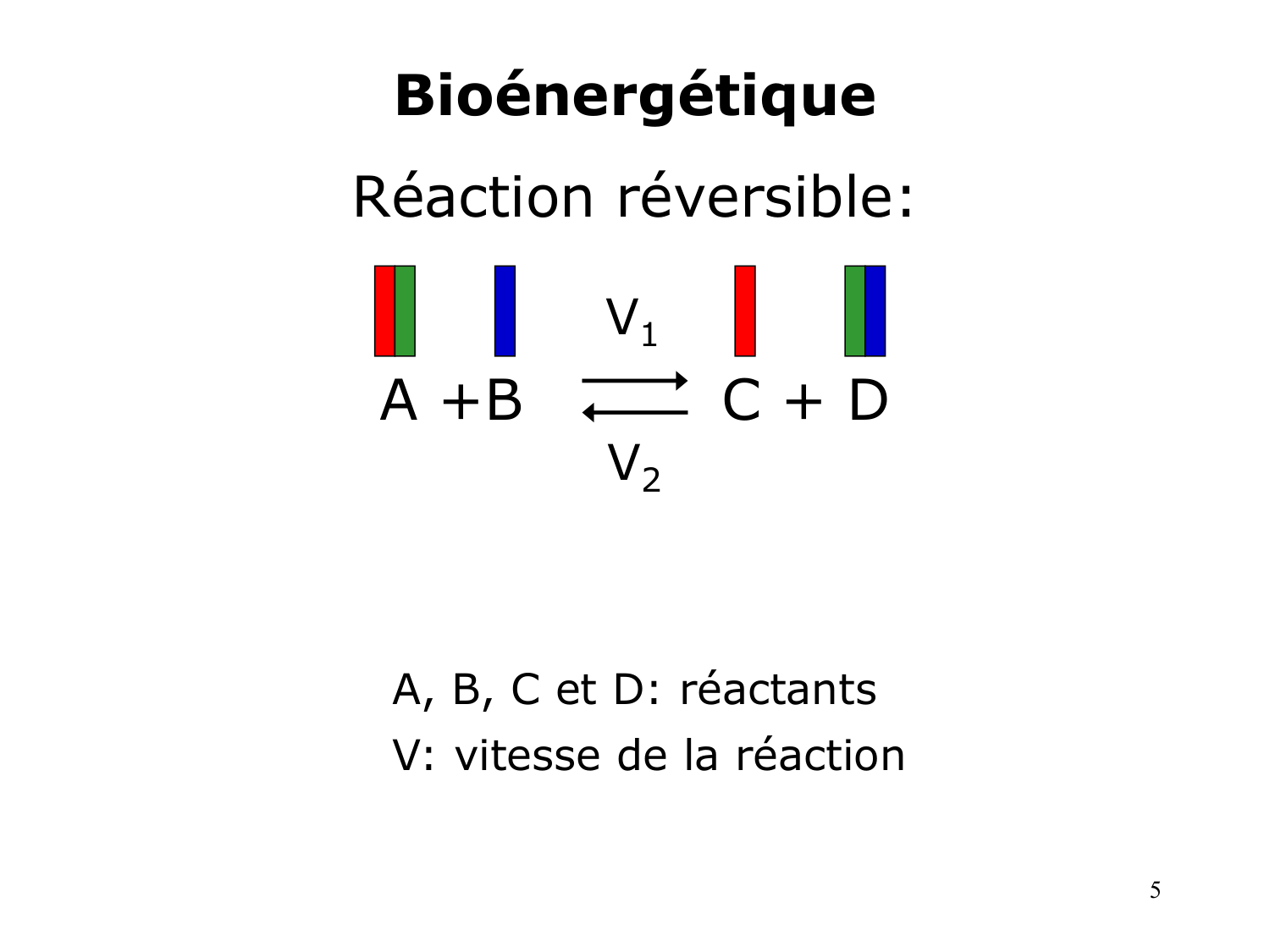 Bioénergétique page 5