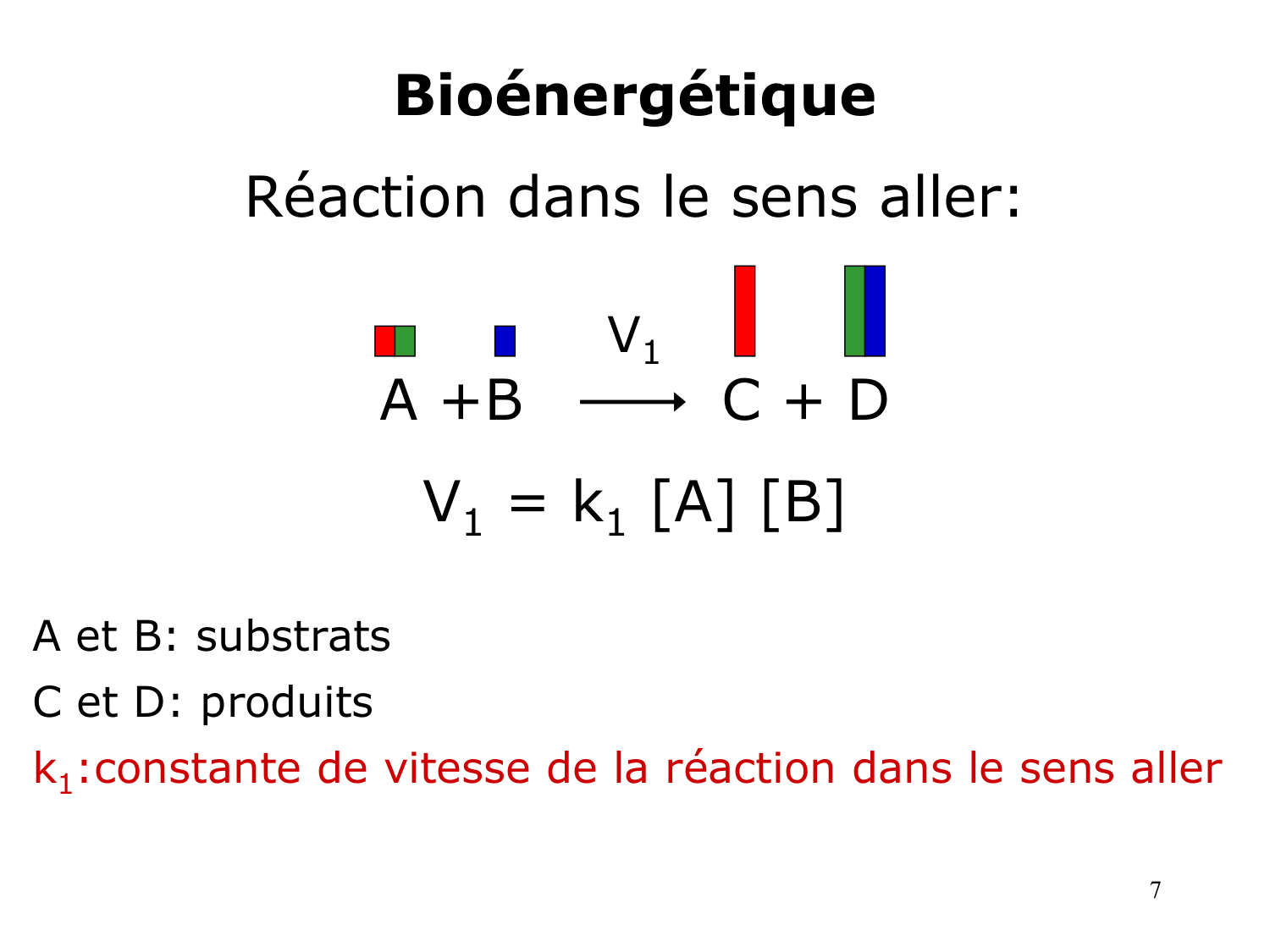 Bioénergétique page 7