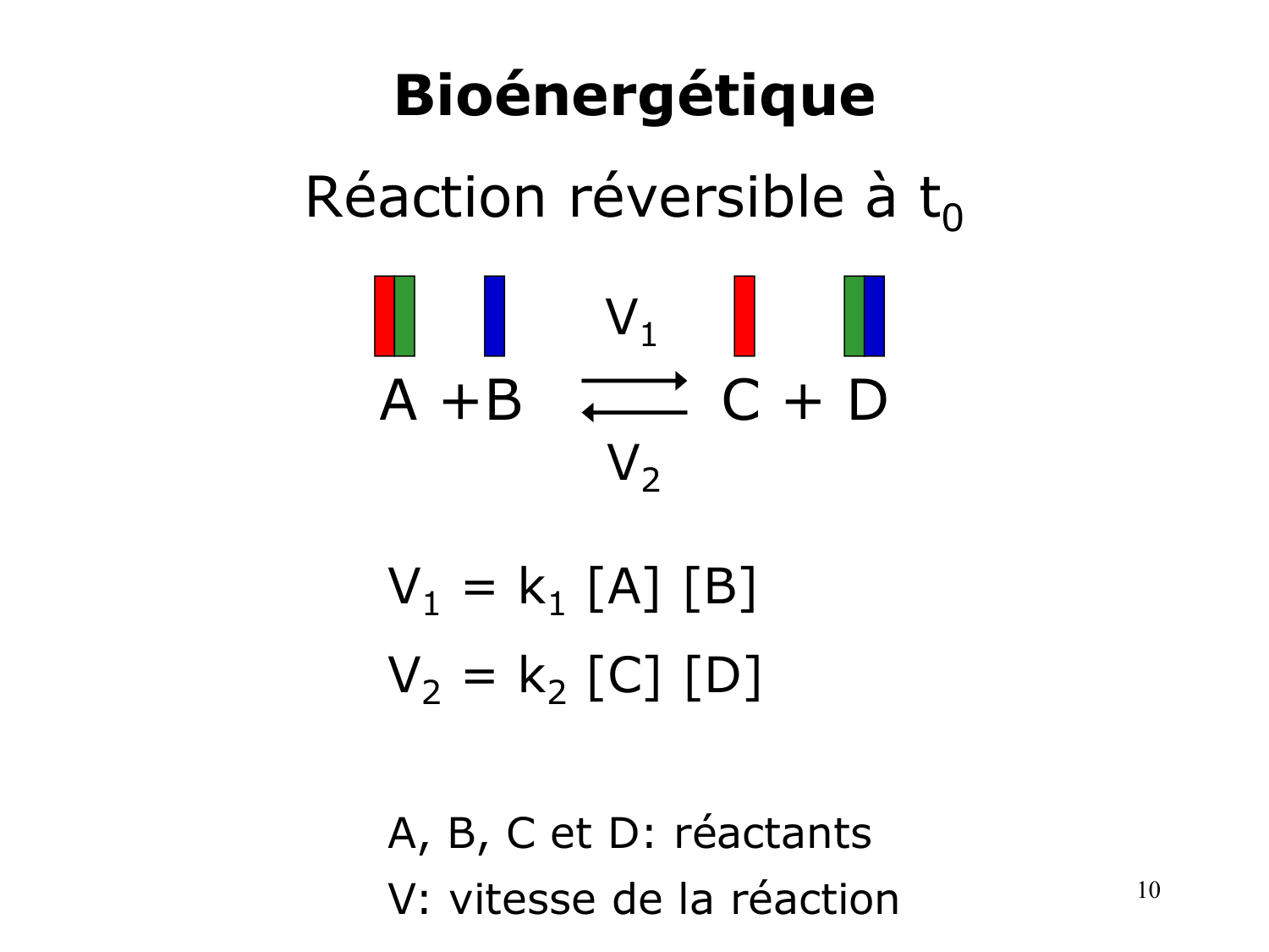 Bioénergétique page 10