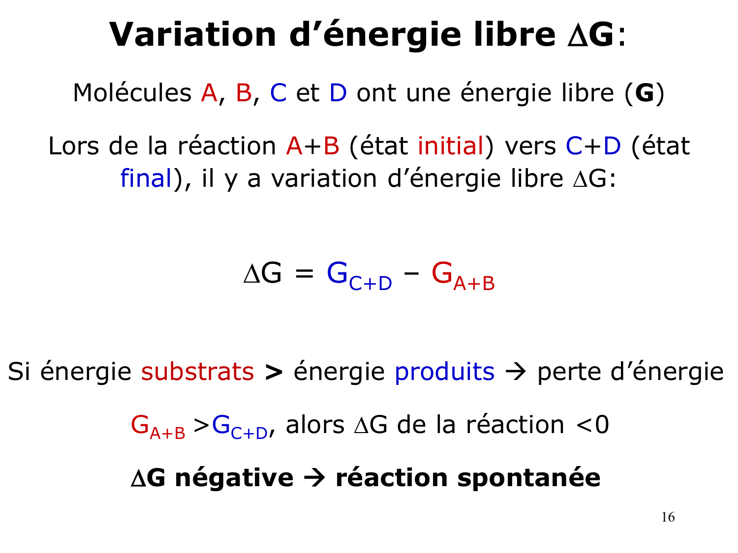 Bioénergétique page 16